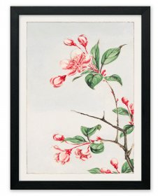 Megata Morikaga Traditional Japanese Art Poster Print