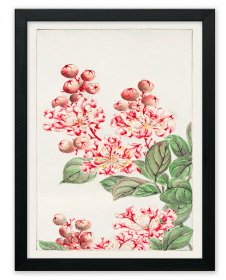 Megata Morikaga Traditional Japanese Art Poster Print