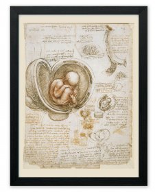 Leonardo da Vinci Poster Print